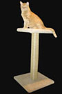Our new 34 inch sisal cat scratching post with top perch. Great for stretching and scratching at the same time! Featuring a 32 inch hand-wrapped sisal rope post and a 16x16 inch top perch. Base is 19x19 inches for rugged stability. $69.99 is a superb deal!